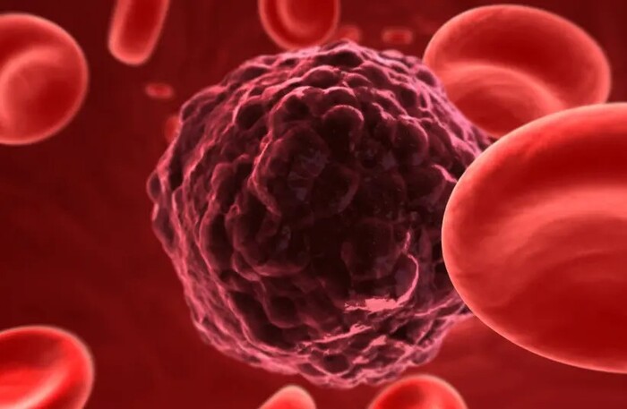 Израильская биотехнологическая компания начинает испытания иммуноонкологического решения для лечения рака Израиль, Рак и онкология, Ученые, Наука, Здоровье, Длиннопост