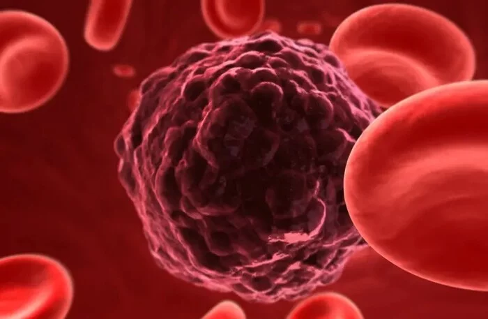 Israeli biotechnology company begins testing immuno-oncology solution for cancer treatment - Israel, Cancer and oncology, Scientists, The science, Health, Longpost