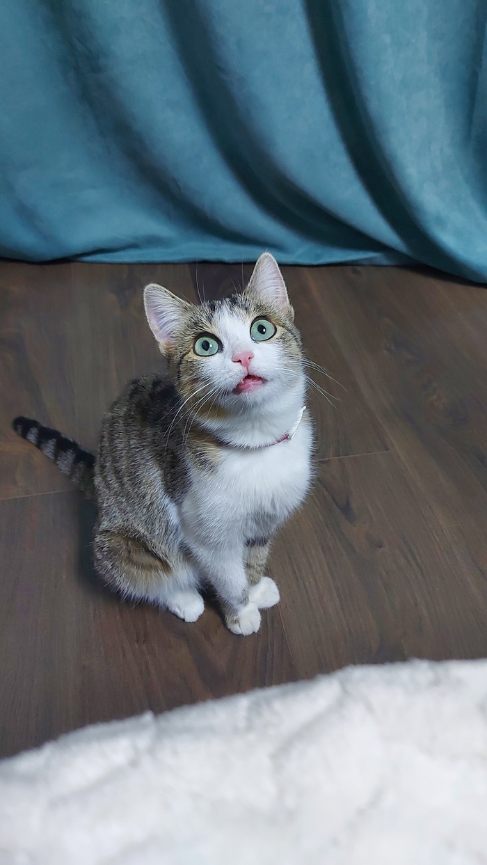 ��������