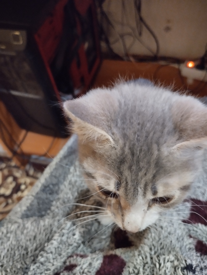 ,   , , , , 