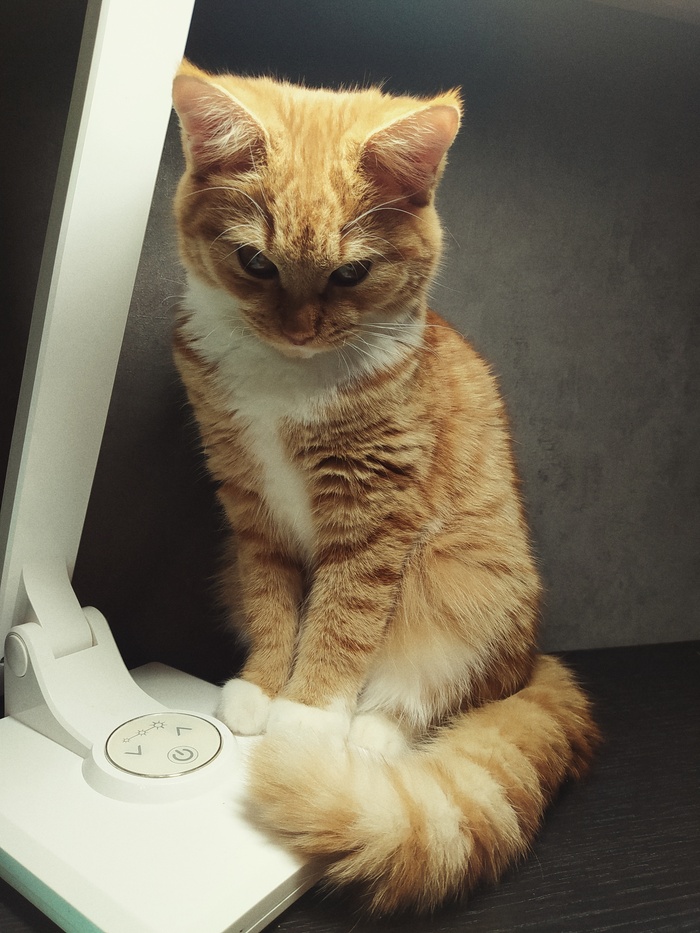 �������? ������ ����?