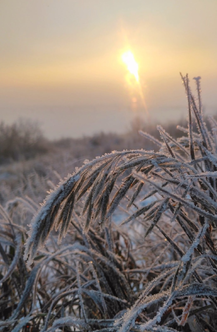 Утро морозное Фотография, Зима, Пейзаж, Утро, Мороз