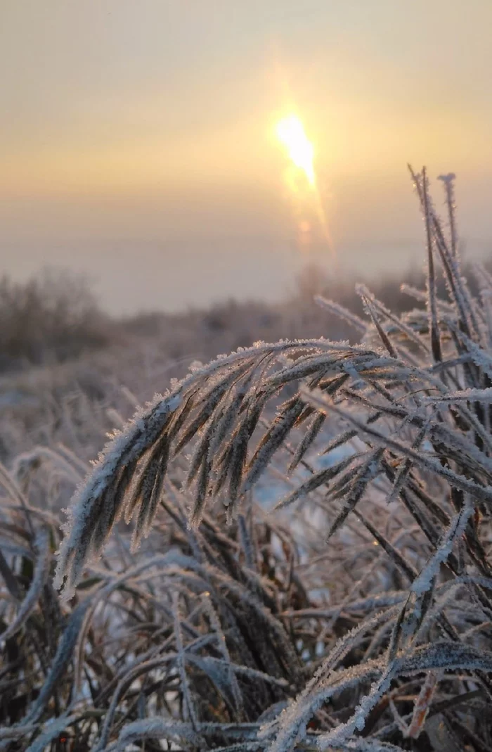 frosty morning - My, The photo, Winter, Landscape, Morning, freezing