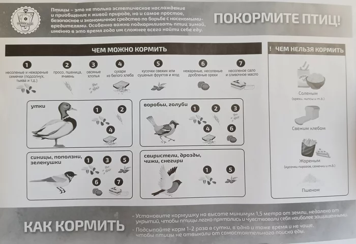 Покормите птиц - Моё, Кормушка, Птицы, Кот, Инструкция, Длиннопост