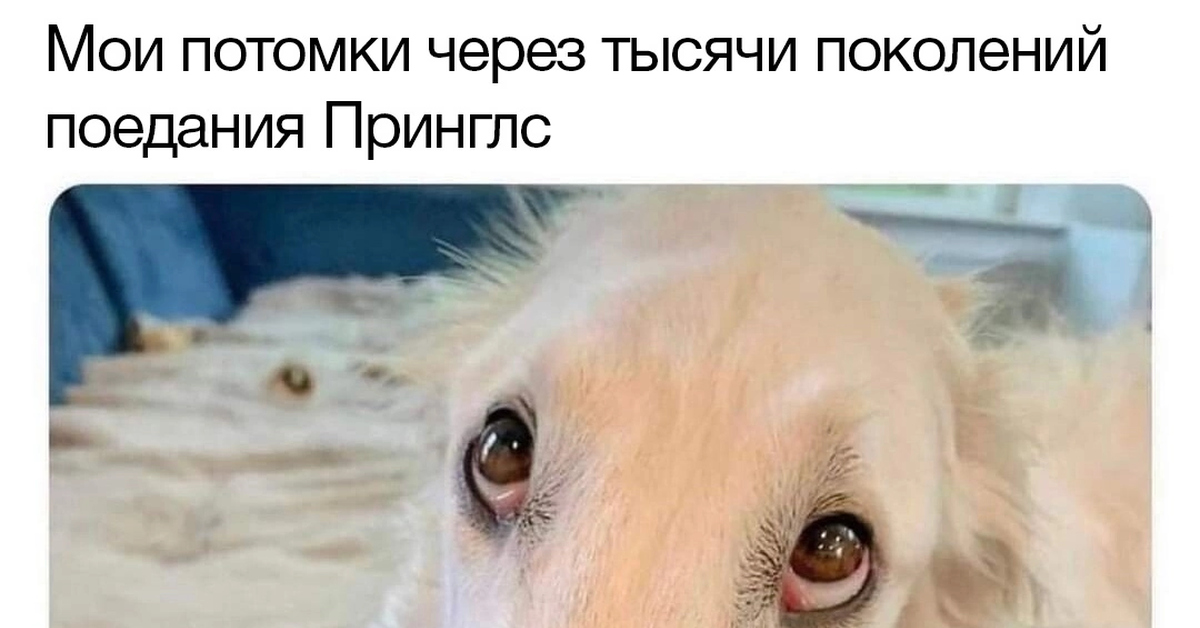 Принглс | Пикабу