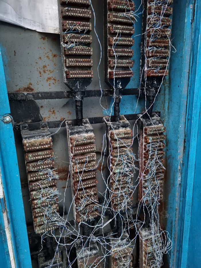 Высокие стандарты