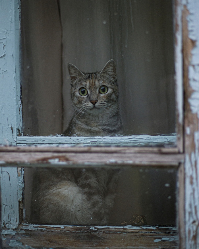 ����� � ������