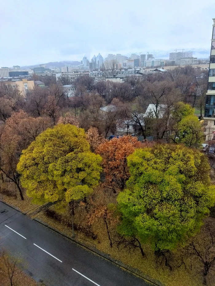 Осень в городе - Моё, Фотография, Казахстан, Мобильная фотография, Осень