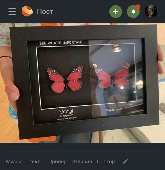 priper - Humor, Screenshot, Comments on Peekaboo, Priper, Glass, Butterfly