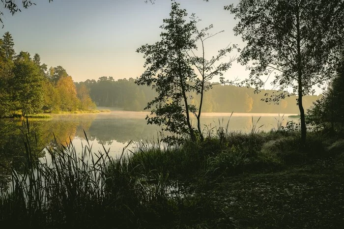 Fragment of autumn - My, The photo, Landscape, The nature of Russia, Morning, Autumn, Fog, Beautiful view, Walk, Place, Water, Mood, Beautiful, Interesting