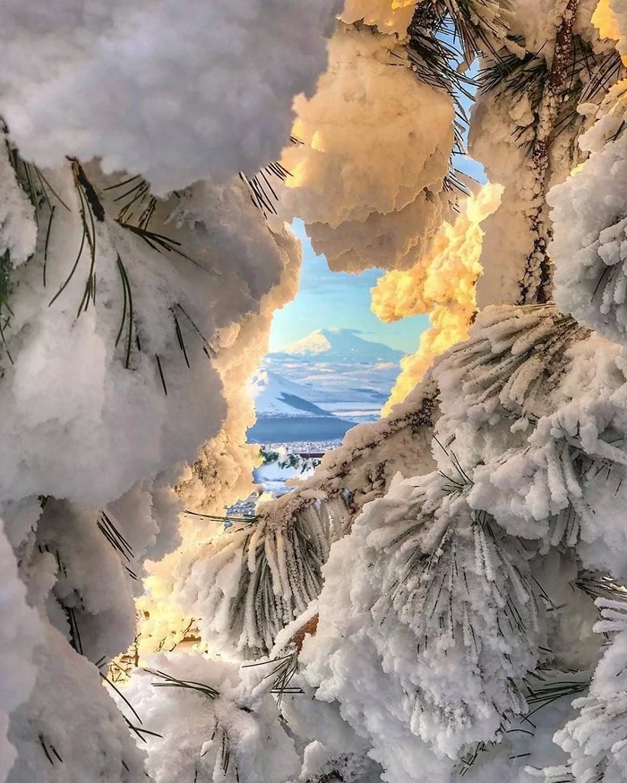 snow covered landscape - Pyatigorsk, Mashuk, Stavropol region, The nature of Russia, Winter, The photo