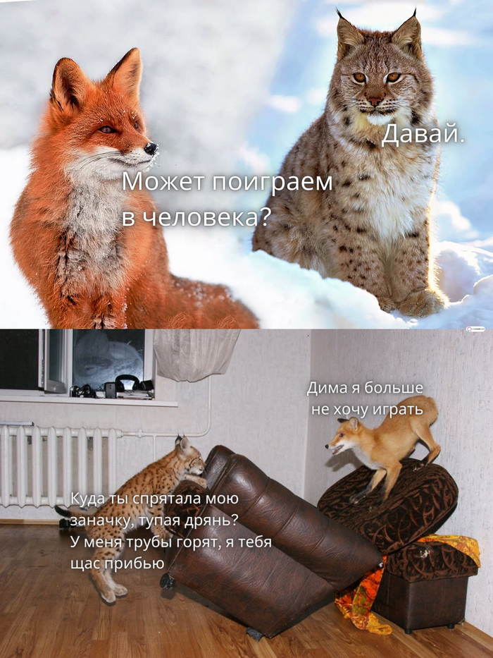 ����� �������� � ��������?