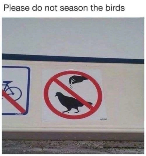 Please don't season the birds - Humor, Memes, Images, Repeat