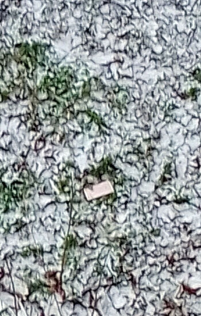 ��� ������� �������?