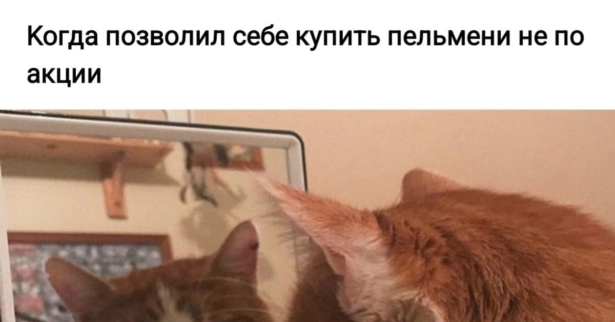 Муки совести | Пикабу