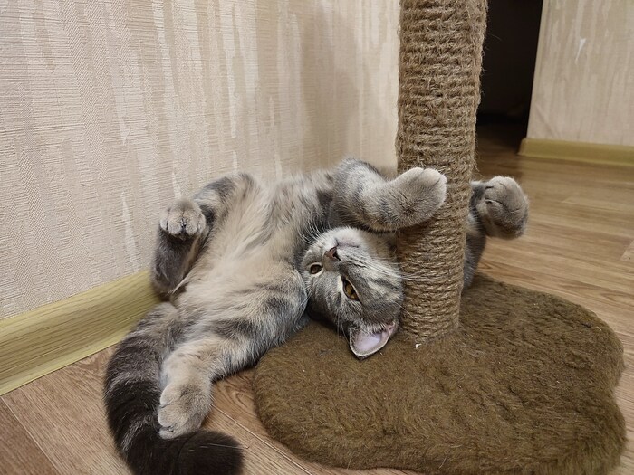 ��� ��� ���������� 2 ���� � ���� �����...