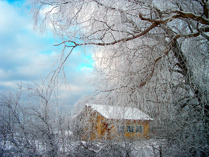 Ответ на пост «Пейзаж со старым сараем» Зима, Эстония, Снег, Дерево, Ответ на пост, Фотография