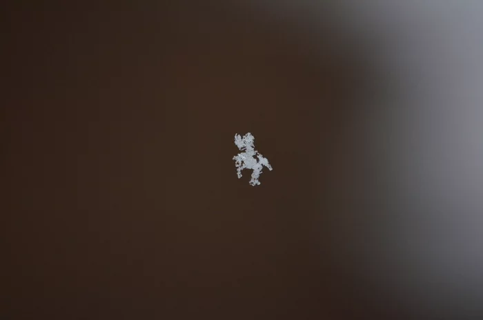 snowflake miniature - My, The photo, Snowflake, Pareidolia