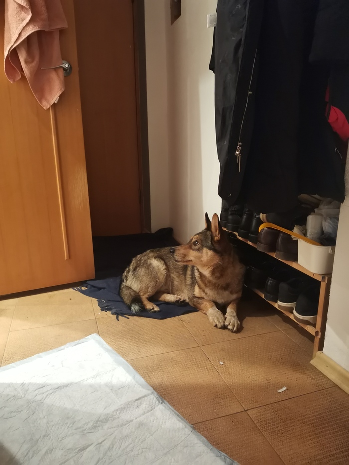  -   -   ,  ,  , , ,  ,   