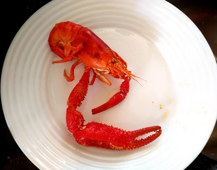 strange cancer - My, Crayfish, Food