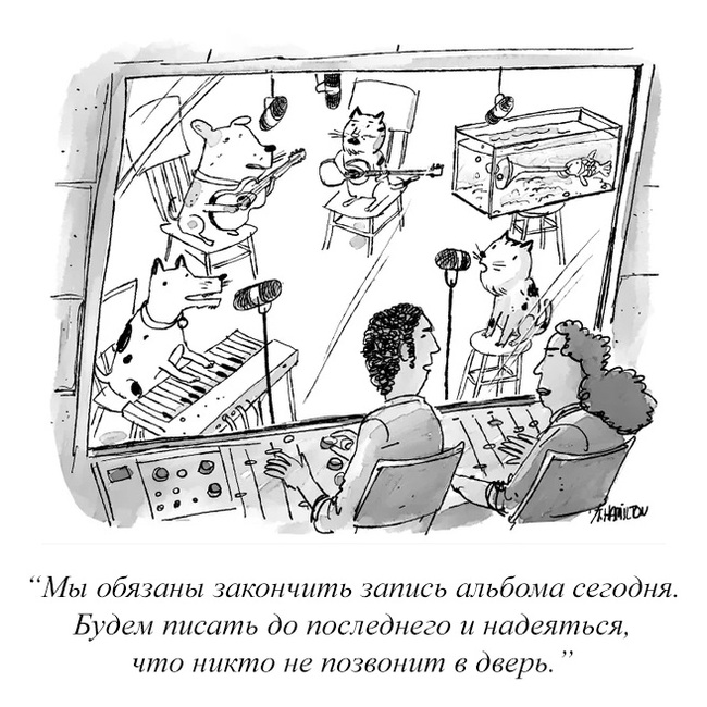     , The New Yorker, ,    , 