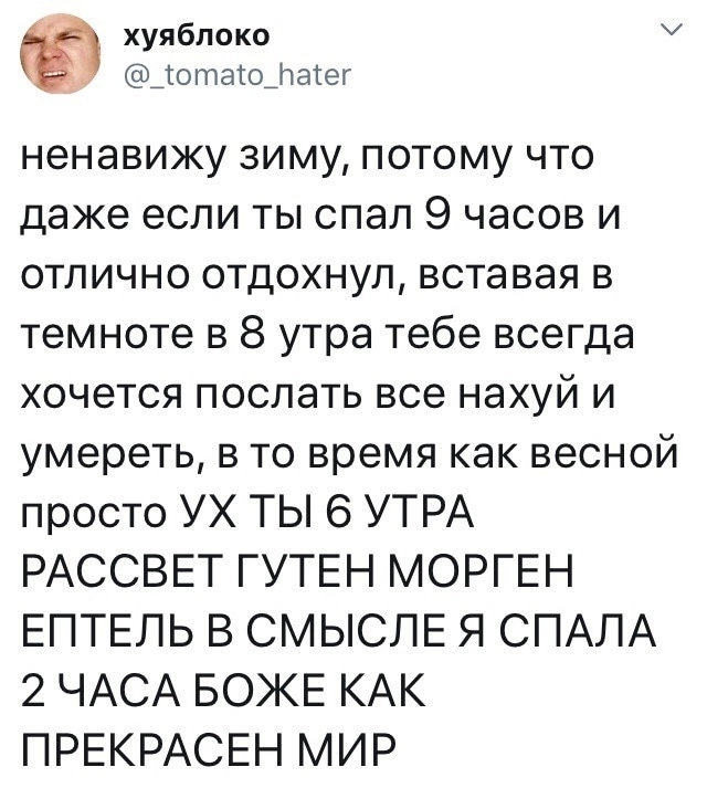 Любители зимы, битва - Юмор, Мат, Скриншот, Twitter, Зима, Утро