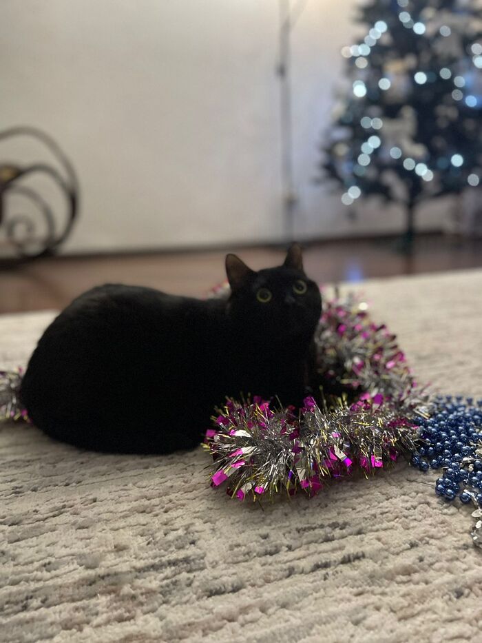 � ������ ���� ������