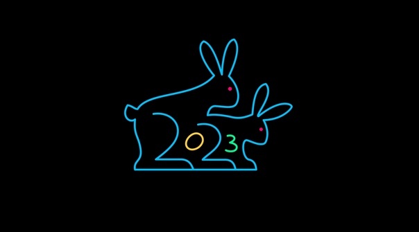 Symbol of the new year - Design, New Year, Symbol of the year, Humor, Hare, Pairing