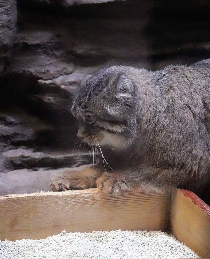 Два в одном :3