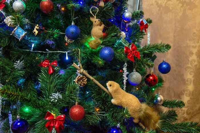 C Upcoming) - My, New Year, Squirrel, Christmas tree, Toys