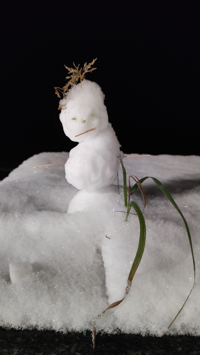 Давайте устроим небольшой  челлендж в преддверии праздников) Покажи своего снеговика! Снеговик, Челлендж, Новый Год, Праздники, Позитив, Доброта, Детское счастье, Длиннопост