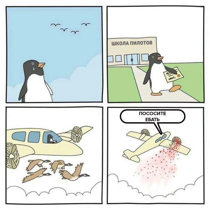Outplayed and destroyed - Picture with text, Penguins, Birds, Airplane, Pilot, Mat, Puddlemunch, Comics