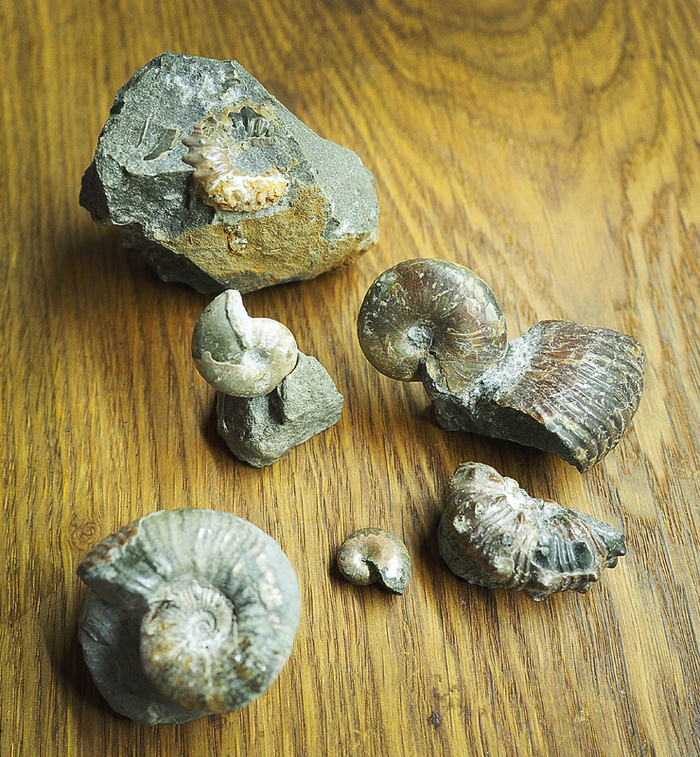 Мечты сбываются!!!