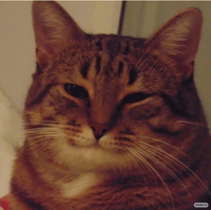 ������� �� �������