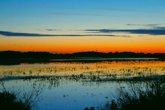 Even a swamp can be beautiful - My, Туристы, Travels, Tourism, Nature, Hike, beauty, dawn, Night, Beautiful, Childhood