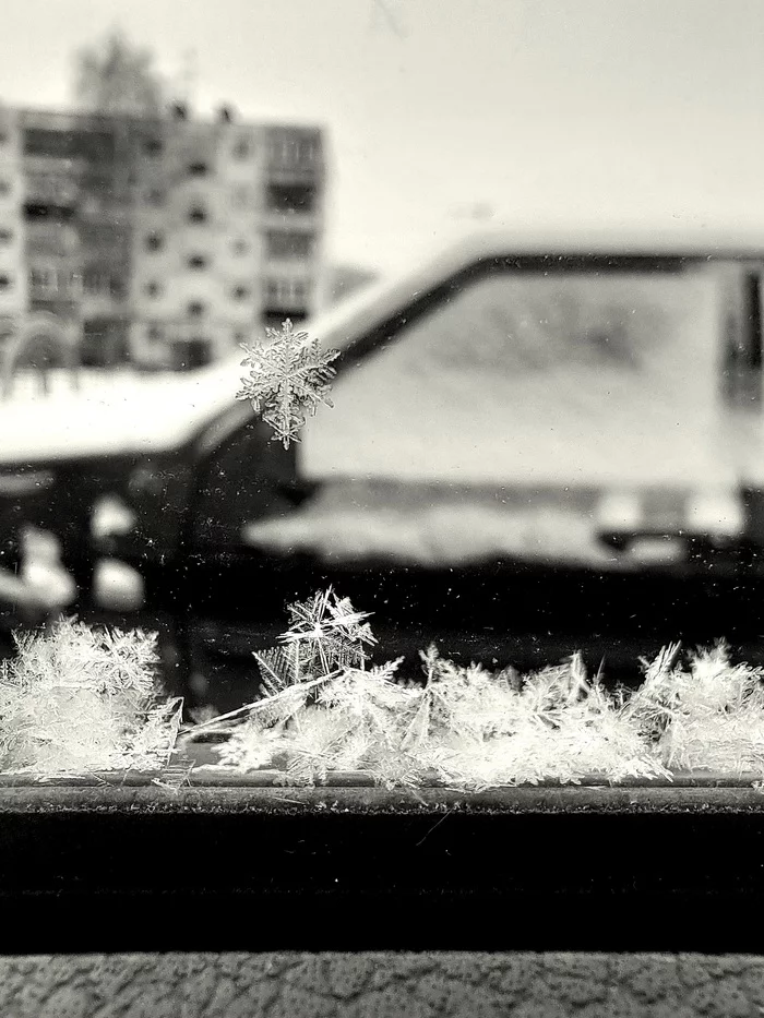 The beauty of the ordinary - My, Winter, Snowflake, Snow, Mobile photography, Black and white photo