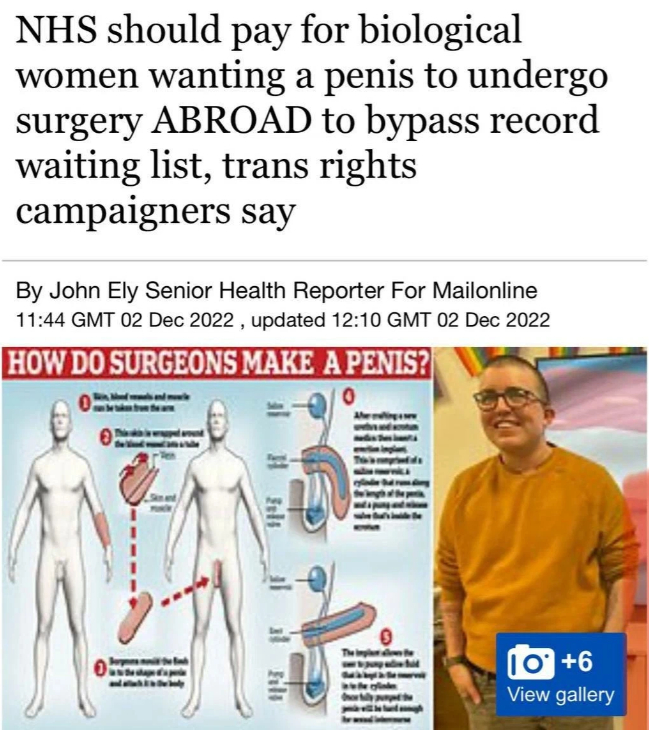 In Britain, another problem - the queue of women who want to become men stretched out for four years - Transgender, Great Britain, The medicine