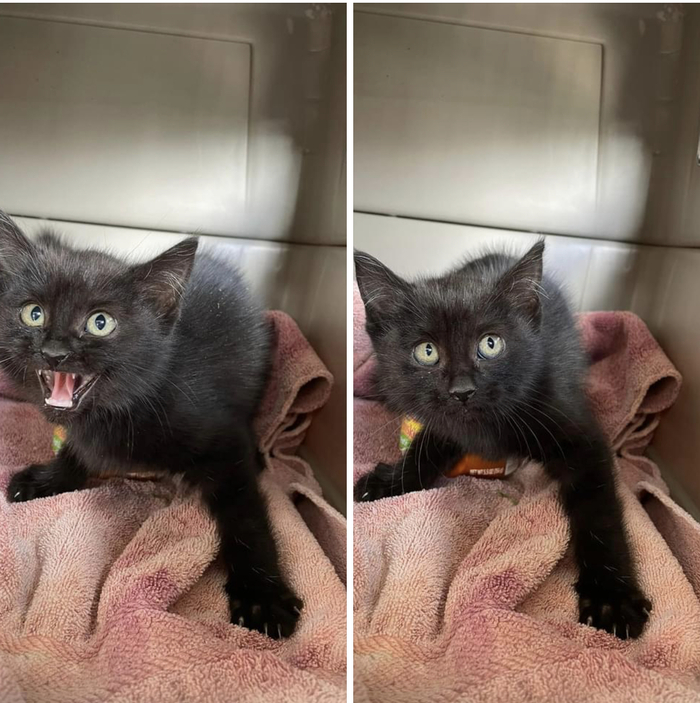 Маленькая злость