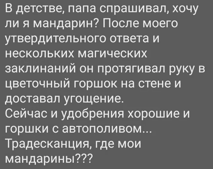 Претензия к домашним растениям - Цветы, Мандарины, Картинка с текстом, Жизненно, Претензия, Детство, Воспоминания из детства, Возраст, Мечта