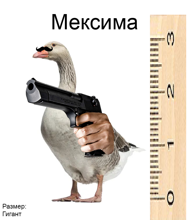   , , 
