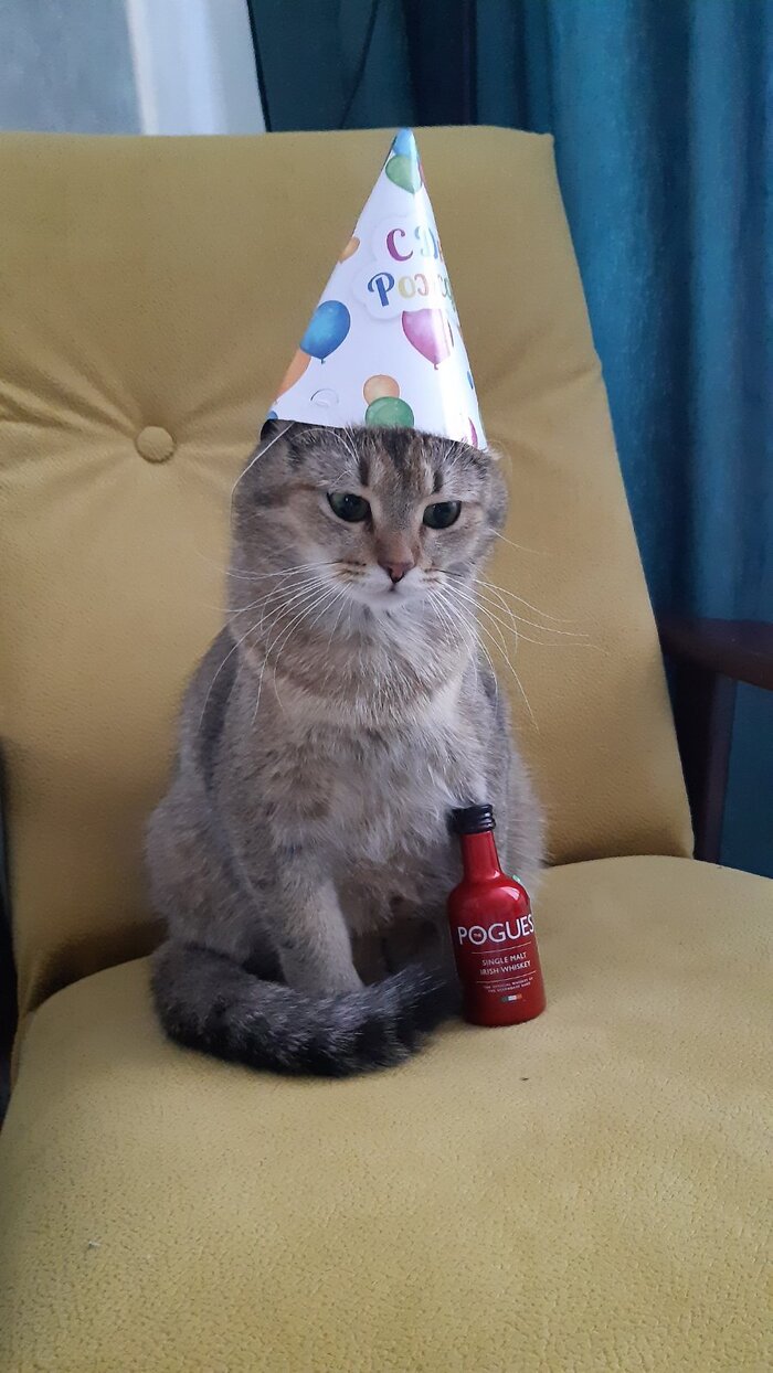 ���� ��������)