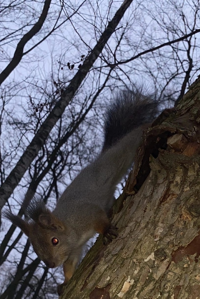 Нужна помощь чайнику!