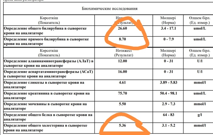 Повышен билирубин, на сколько все плохо? | Пикабу