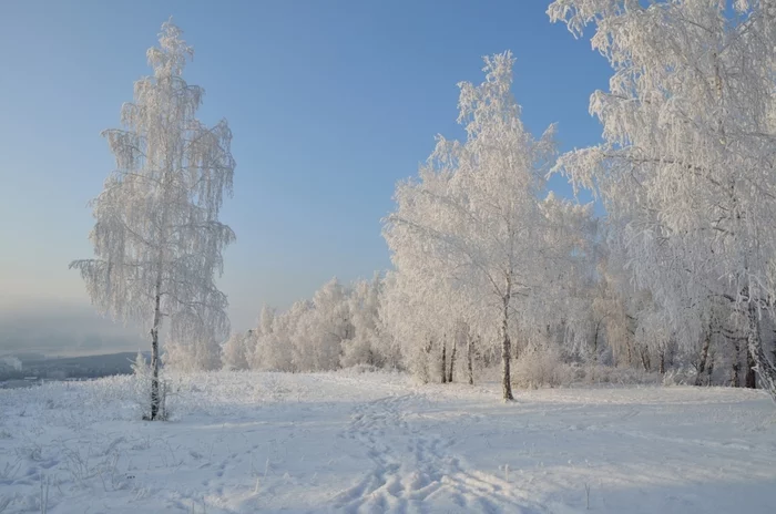 Frost and sun - My, The photo, Siberia, Krasnoyarsk, Mood, Snow, Frost, Sky, Beautiful