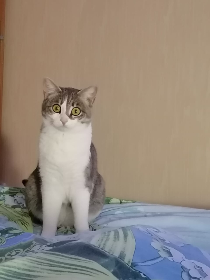 ?