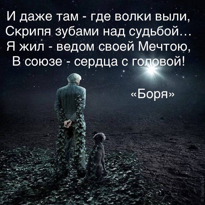 С улыбкой шлю «волкам - привет…»Тем - «кто злословием - яро сияет». Надеюсь на то - что «сей памфлет»Мой след презрения - в их умы доставит! - Моё, Стихи, Мысли, Памфлет, Поэзия, Картинка с текстом