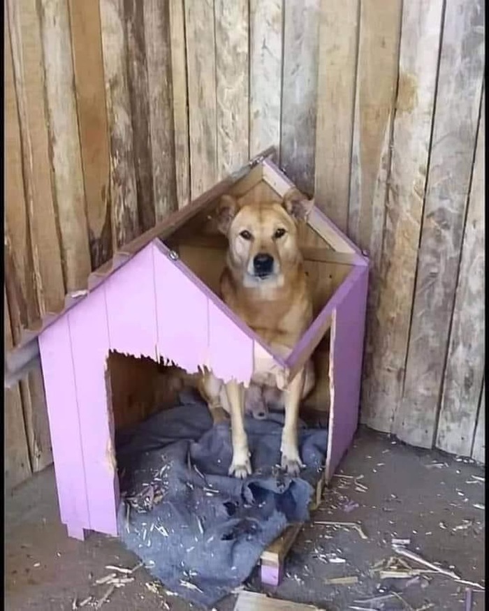   , 