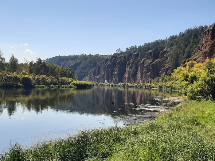 Пропала совесть