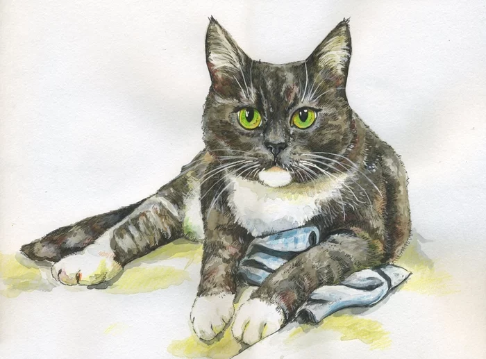 Gray Fox - My, cat, Drawing, Creation, Watercolor, Painting