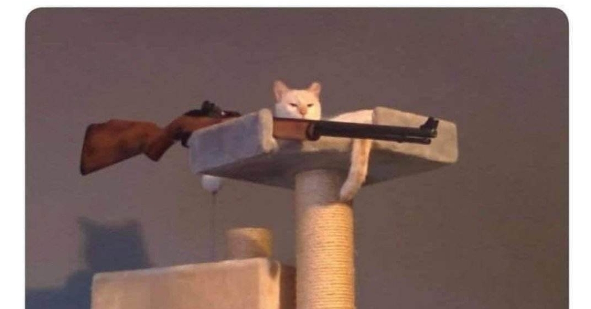 Кот с пистолетами мем